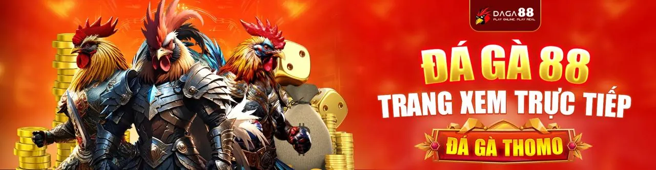 Sân đấu đá gà trực tuyến sôi động tại VN777